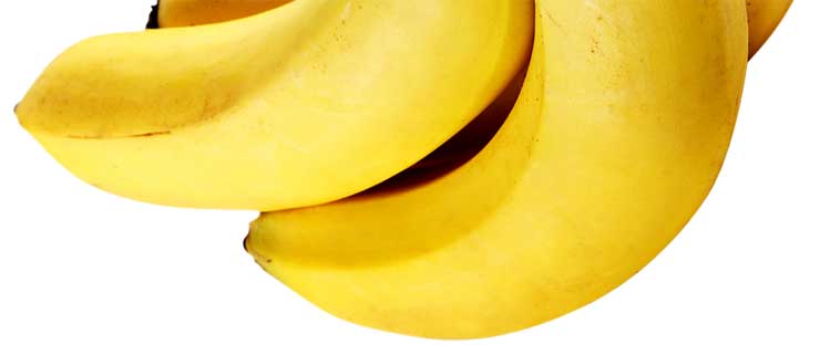 Bananas Laumar - Qualidade na sua mesa!